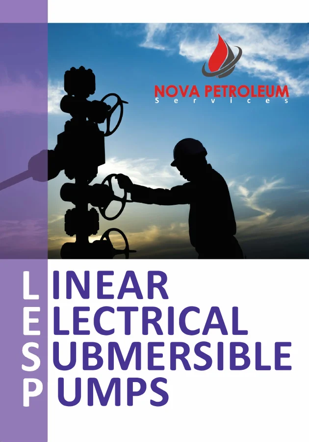 Cover of Linear electrical submersible pumps PDF